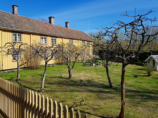 Fruehling Hof Garten Baeume Baum Mai